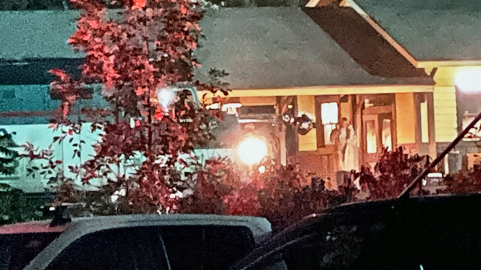 At night, a red-leaved tree in front of the lit station porch, a train's nose at left and a man in a long light coat up on the deck.