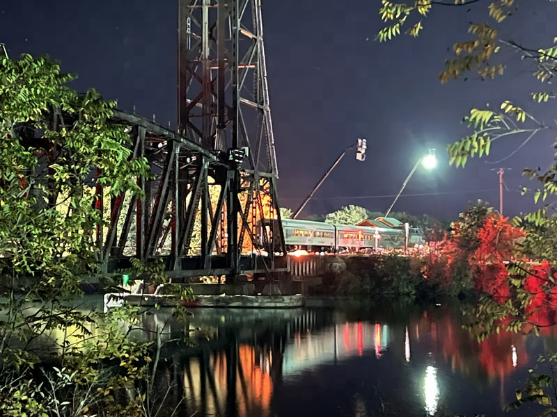 The steel railway bridge at night, reflected in dark water, with red-lit trees and the lit train and station beyond.