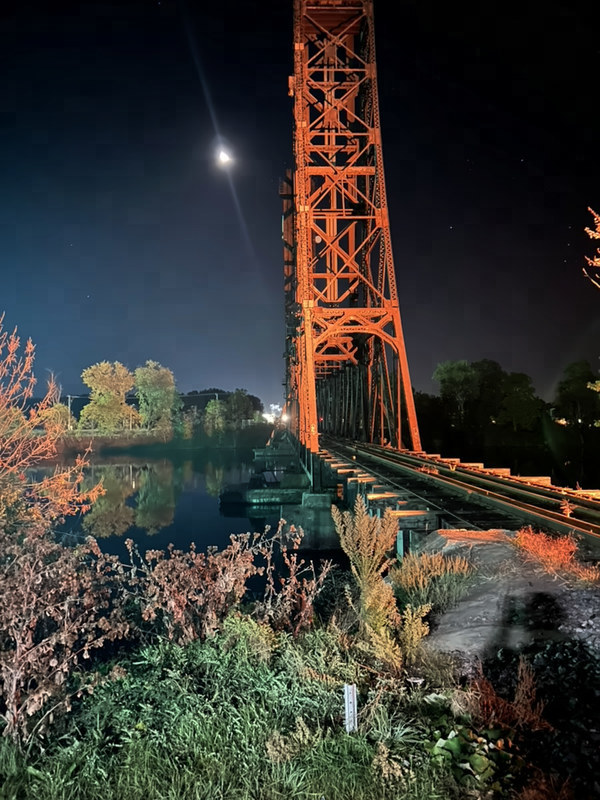 An orange-lit steel bridge tower beside the tracks under a bright moon, with autumn plants in front.