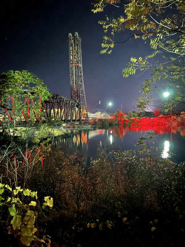 A tall steel bridge tower rises over still water at night, with red-lit shrubs along the bank and leaves framing the top.